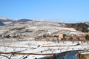 甲府・酒折の雪景色